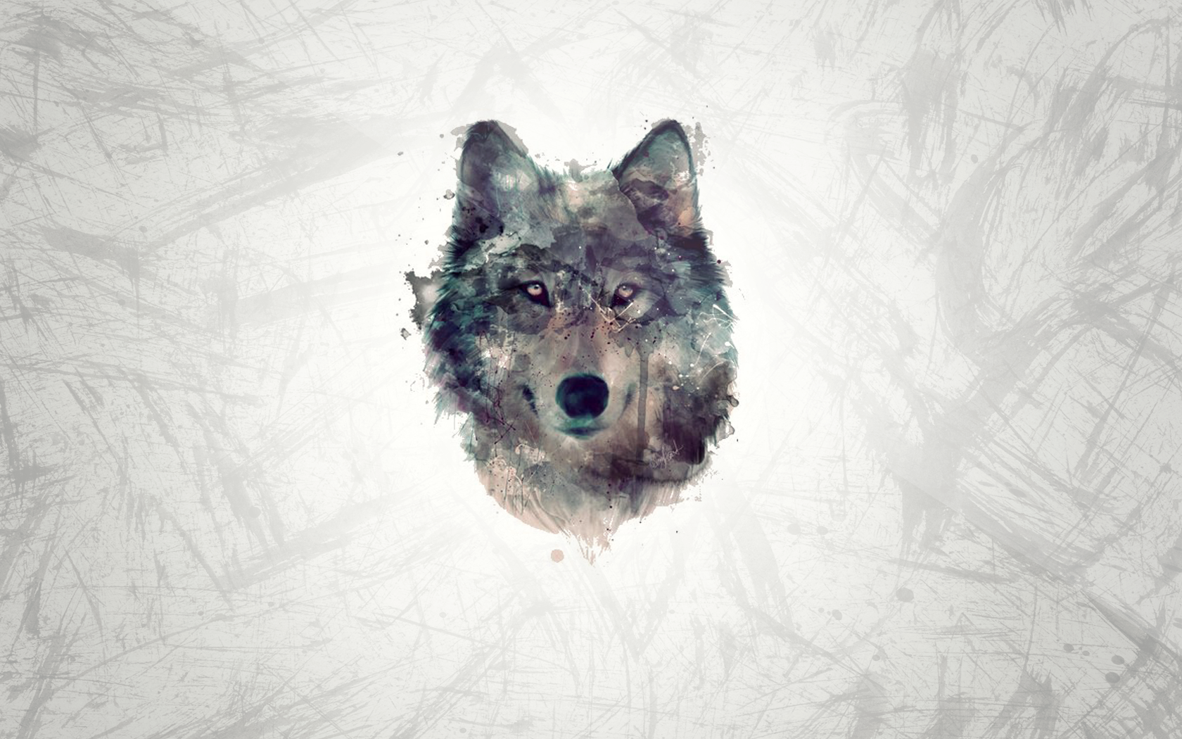 Wolf Wallpaper By Jonnyclark