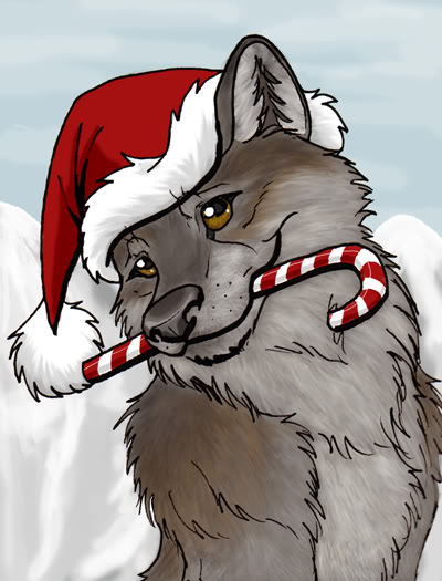Christmas Wolf Photo