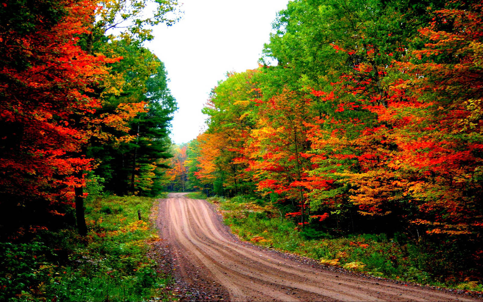 Desktop Wallpaper Autumn Road