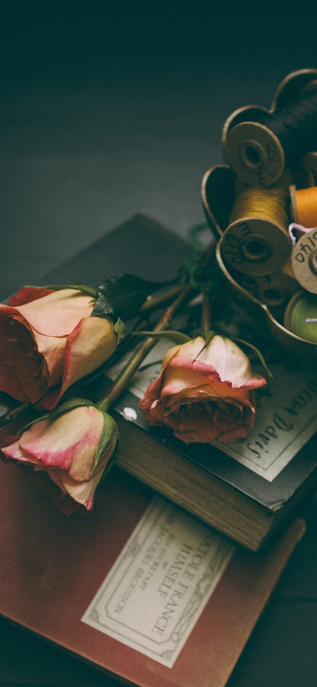 Books Pink Roses Thread iPhone Pro Xs Max Wallpaper