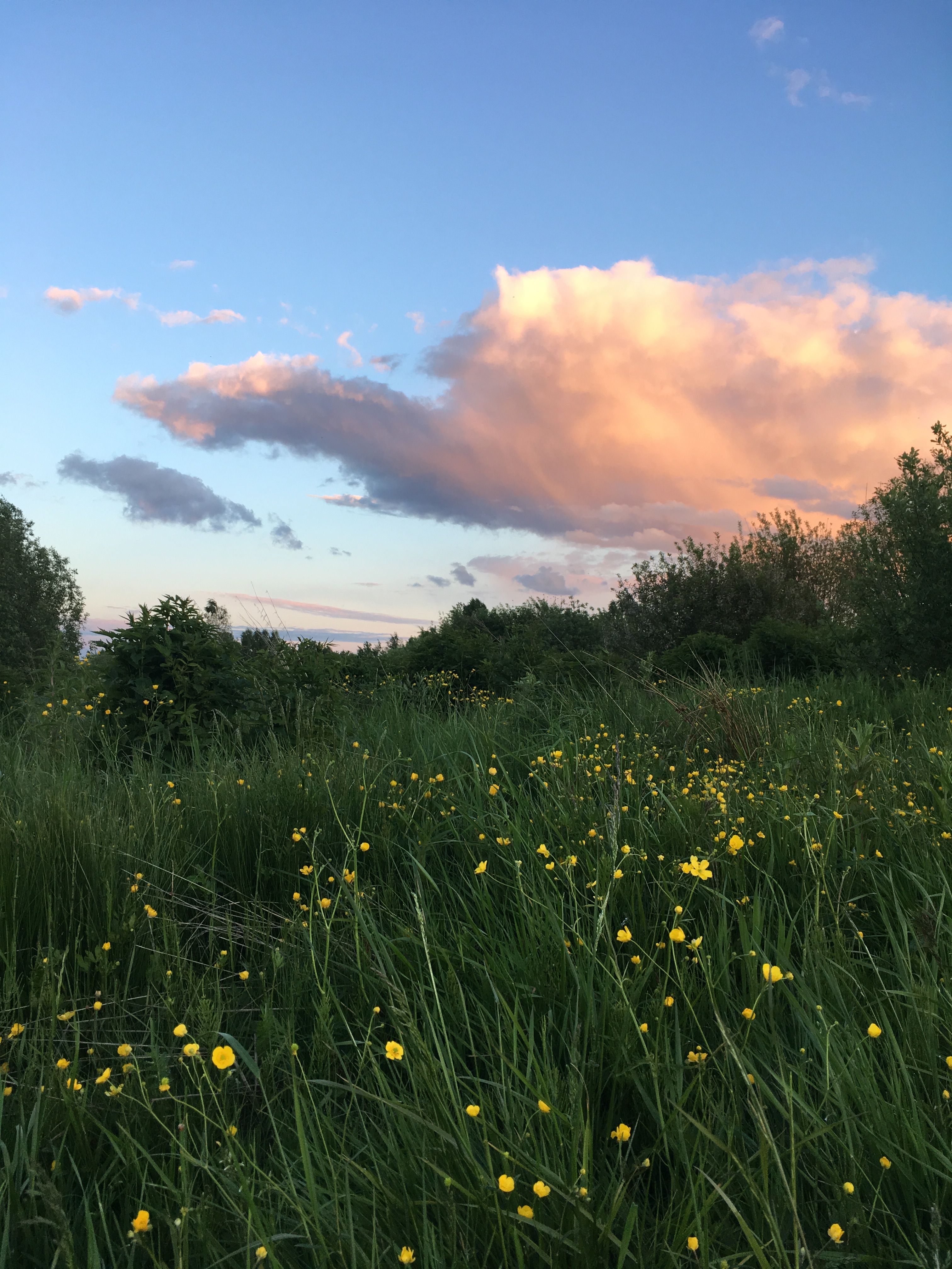 Pin Tillagd Av A P Nature Wallpaper
