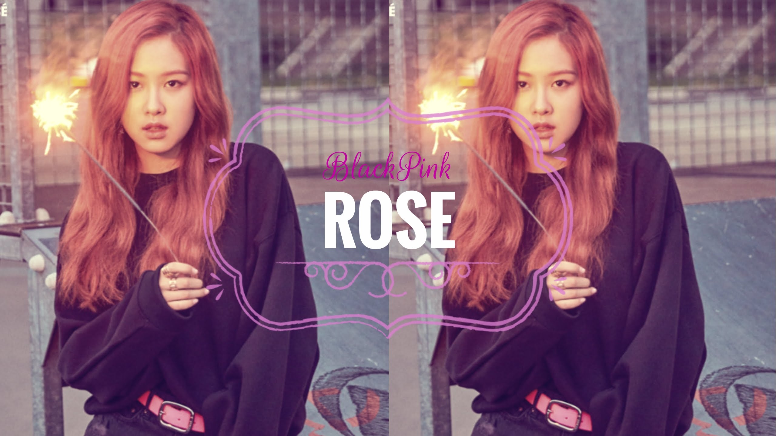Black Pink Image Rose HD Wallpaper And Background Photos
