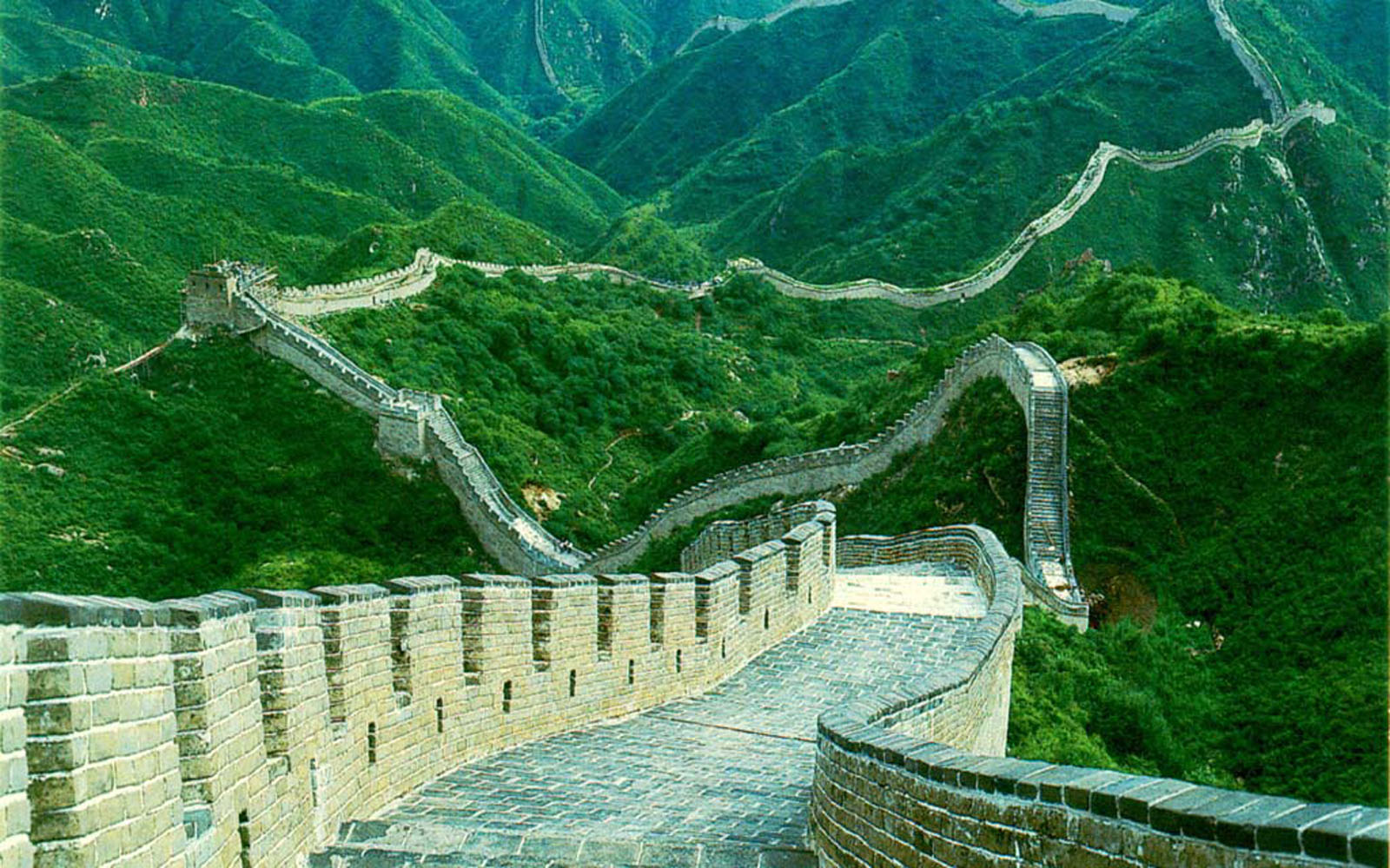 World Wallpaper