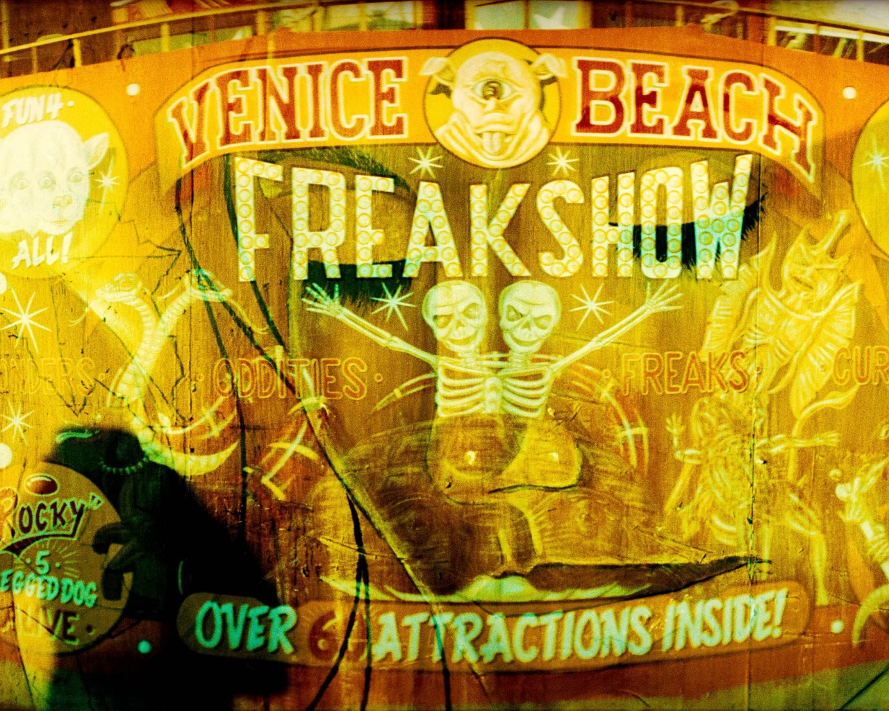 Freak Show Wallpaper And Image Pictures