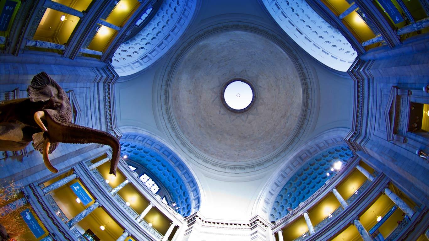 Bing Images   Natural History Museum   Rotunda of the Smithsonian 1366x768