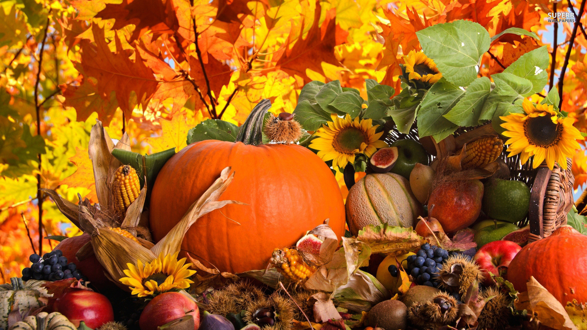Fall Themed Desktop Background Wallpaper Adorable