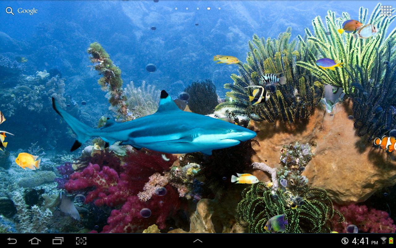 Tropical Fish Live Wallpaper   screenshot