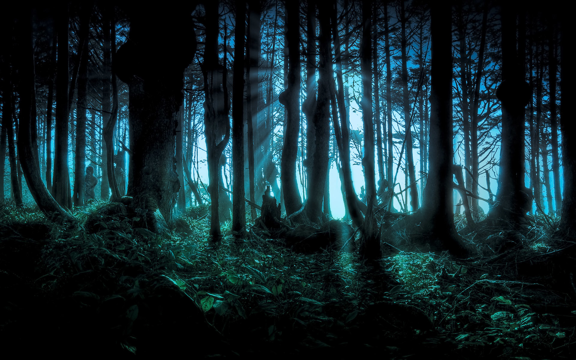 Best Dark Forest Wallpaper Id For High Resolution HD