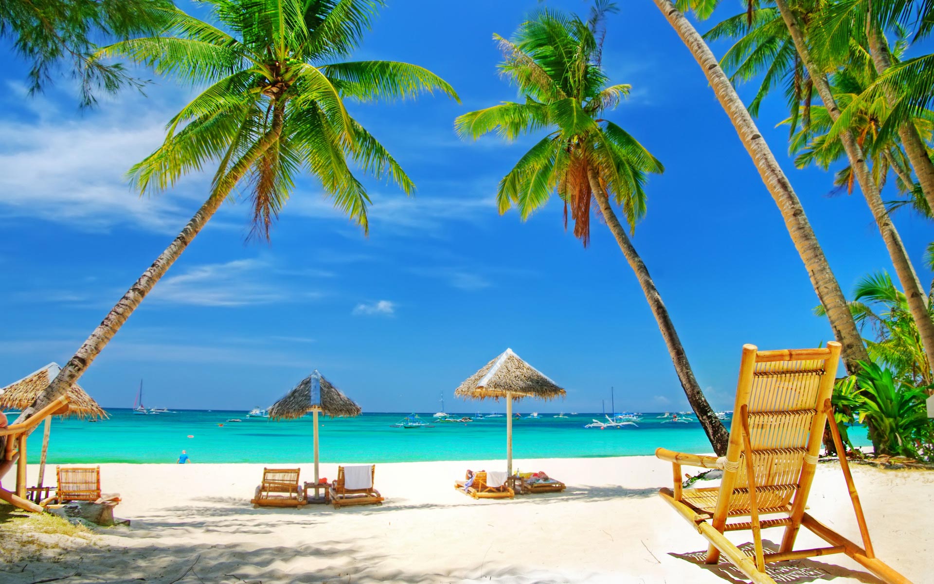 Tropical beach paradise with palm trees, white sand, and turquoise water, perfect for a computer background