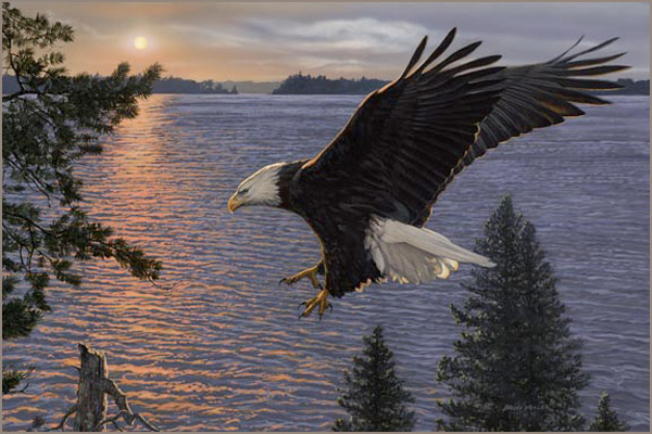 Shining Sea Bald Eagle Nra American Painting Print Jpg