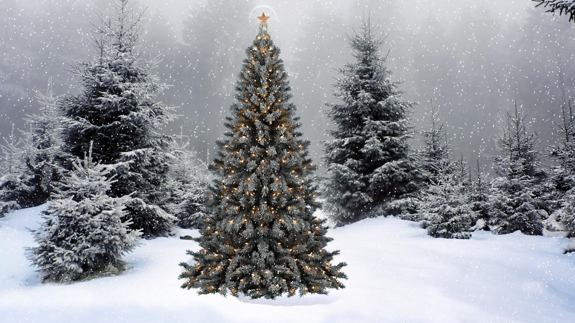 Snow Falling On The Christmas Tree Wallpaper Holiday