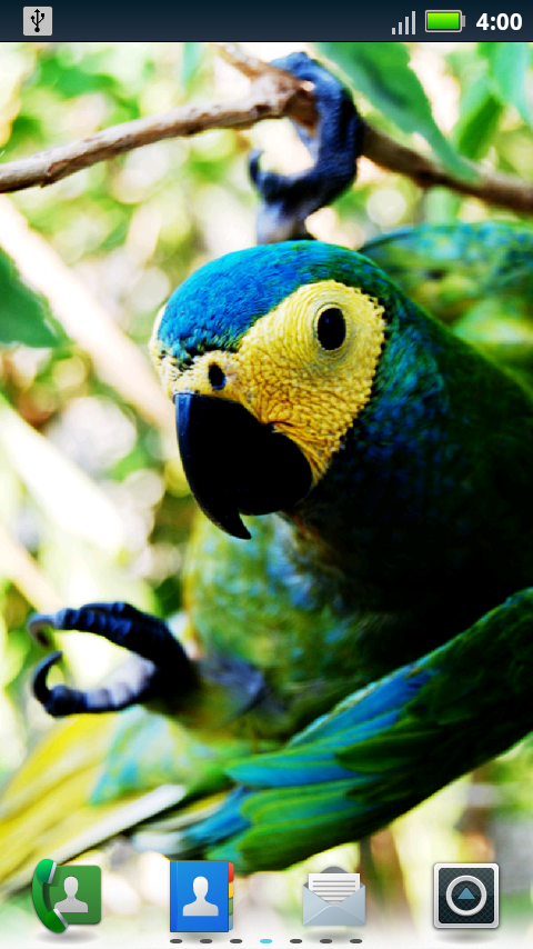 Parrots Live Wallpaper For Android