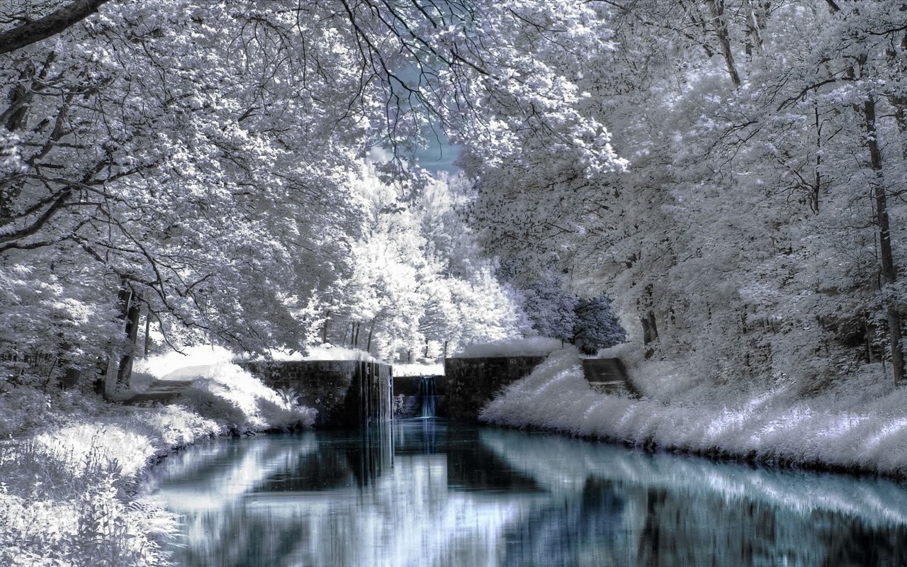 Winter Season Scenery HD Wallpaper