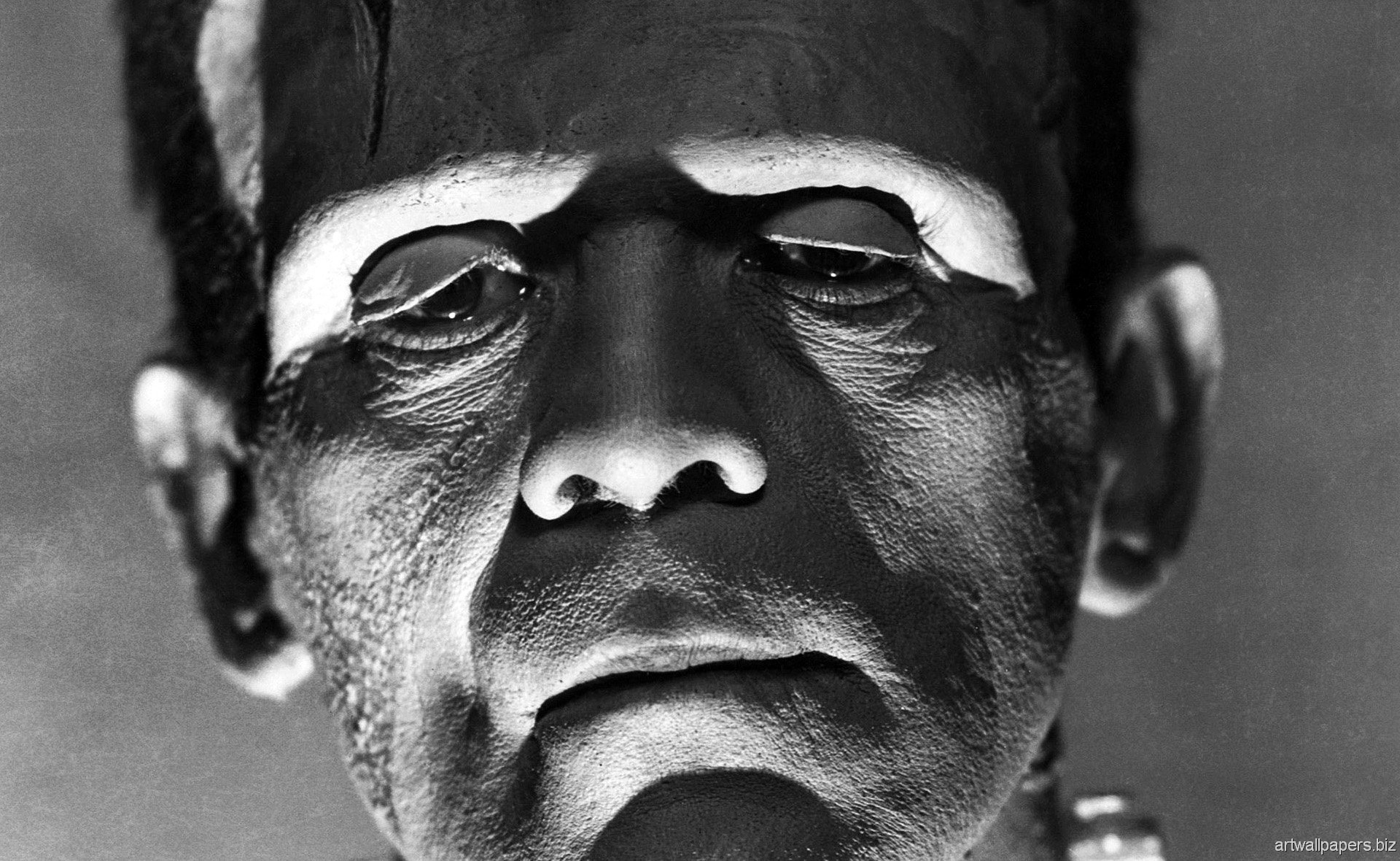 The Bride Of Frankenstein Puter Wallpaper Desktop Background