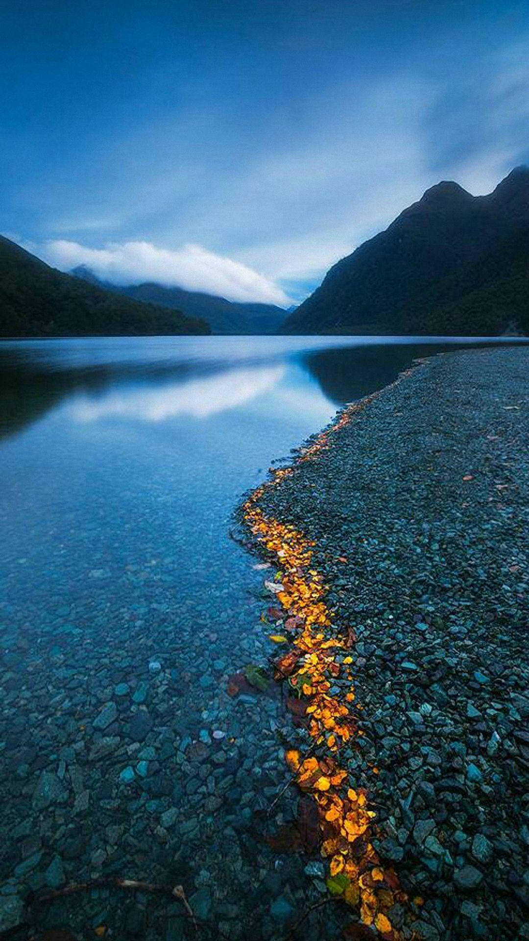 HD Nature Phone Wallpaper