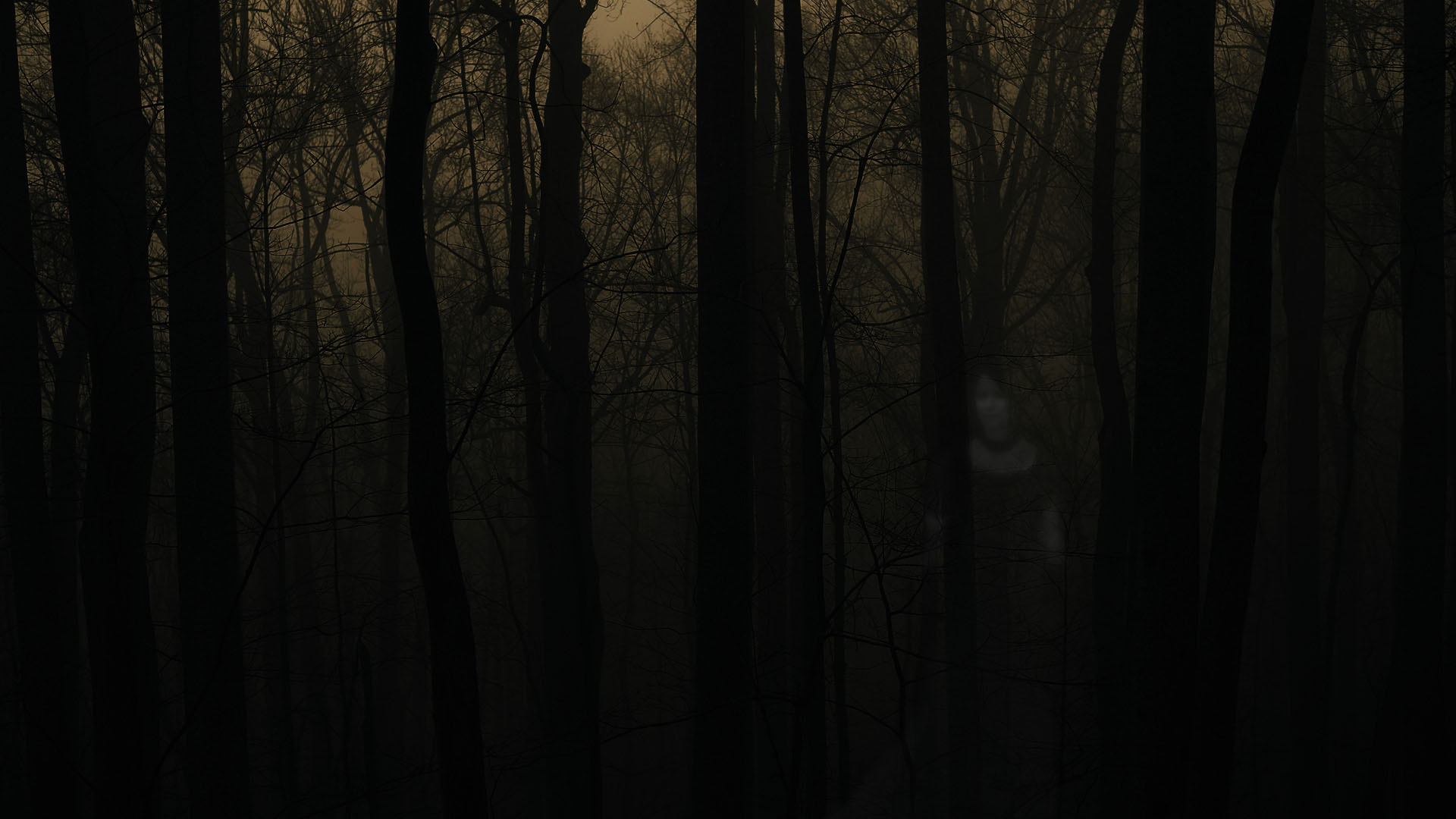 Haunted Forest Wallpaper Stock Photos