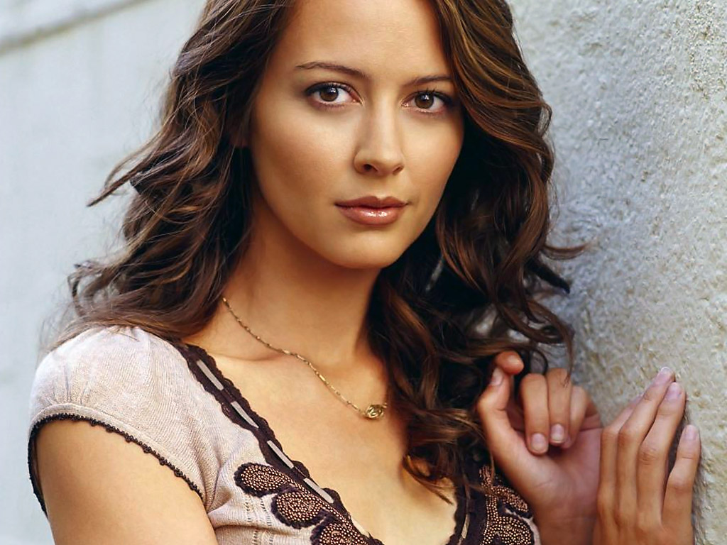 Amy Acker Wallpaper For Windows Or Mac