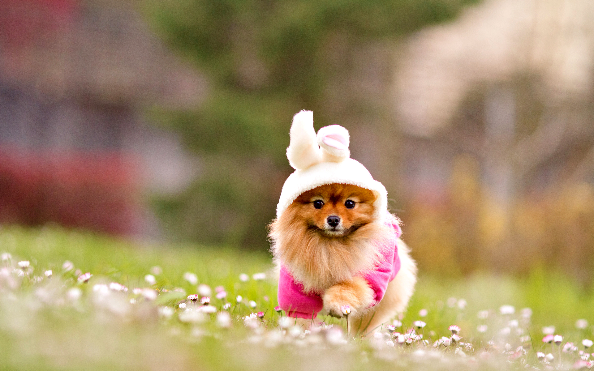 Best Cute Image Wallpaper