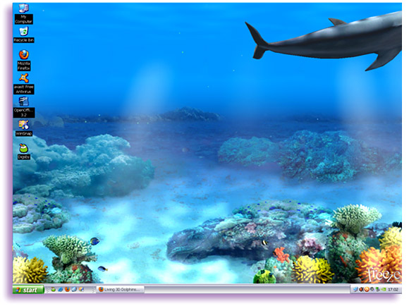 Animated Dolphin Wallpaper For Windows High Definition