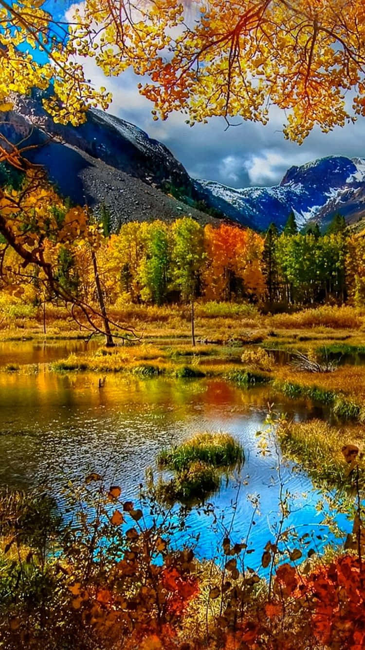 Enjoy The Fall Foliage With New iPhone Plus Wallpaper