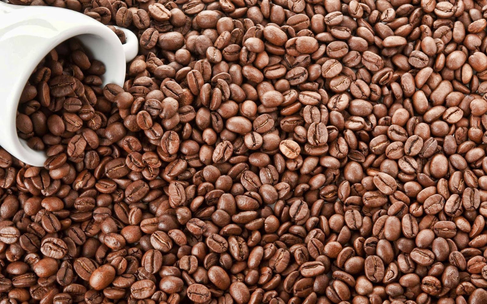 Coffee beans wallpaper BOSS PICS