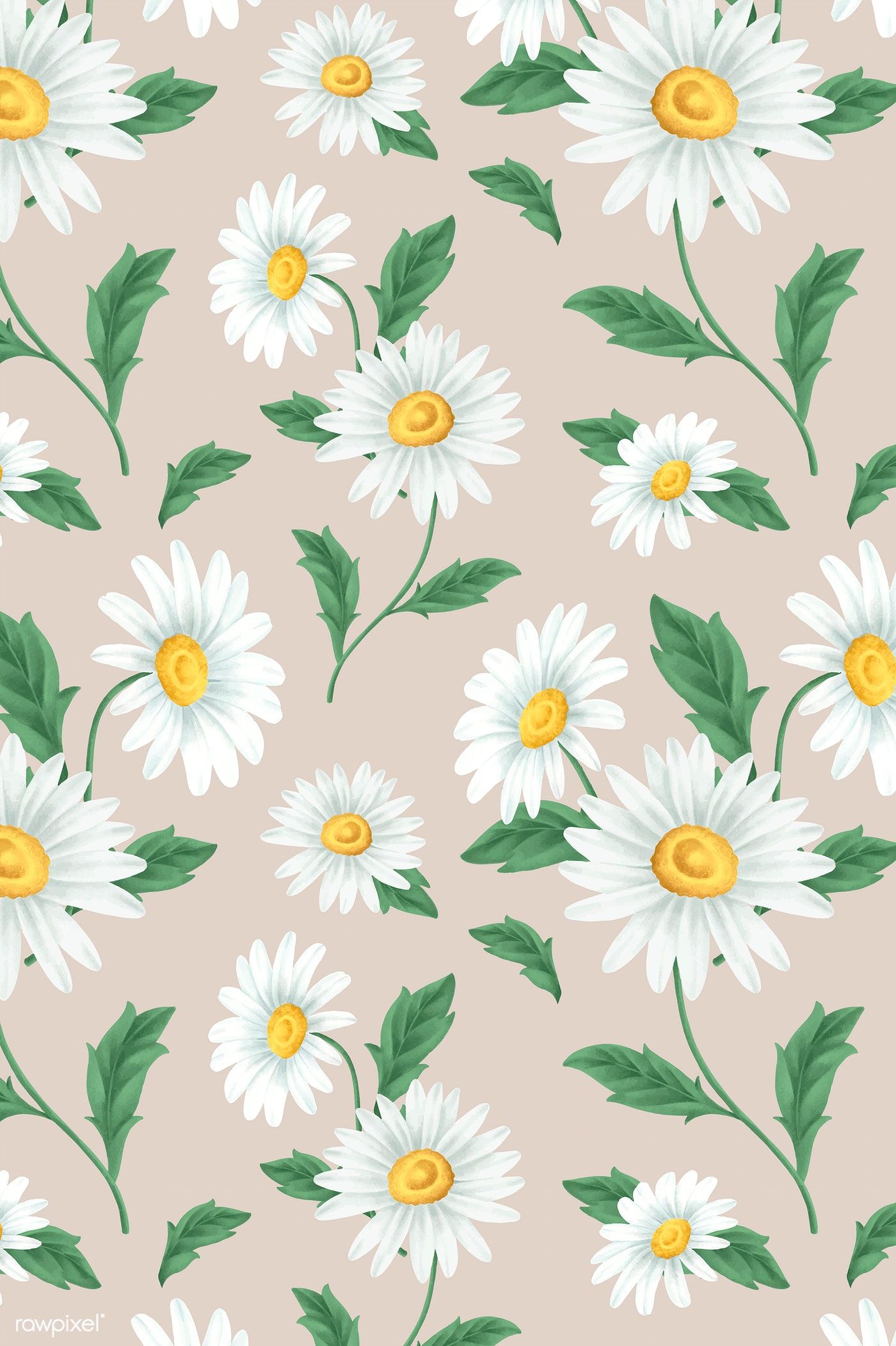 Flower Daisy Wallpaper