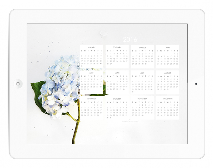Happy Calendar Blue Hydrangea Desktop Wallpaper