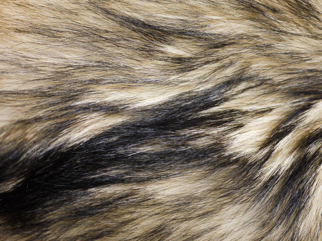 skin texture fur wolf fur texture background background 1032x774. 