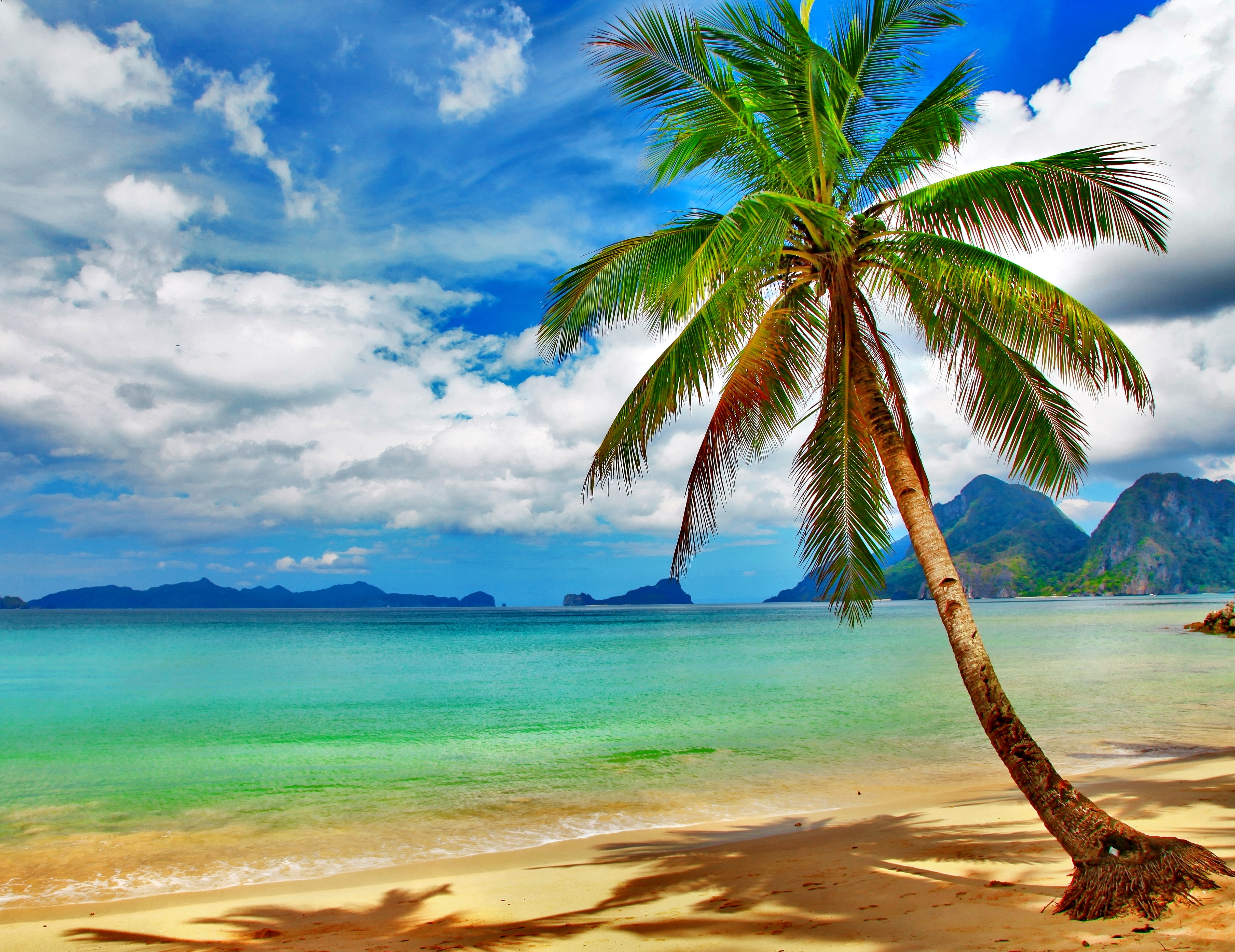 Tropical paradise beach coast sea blue emerald ocean palm