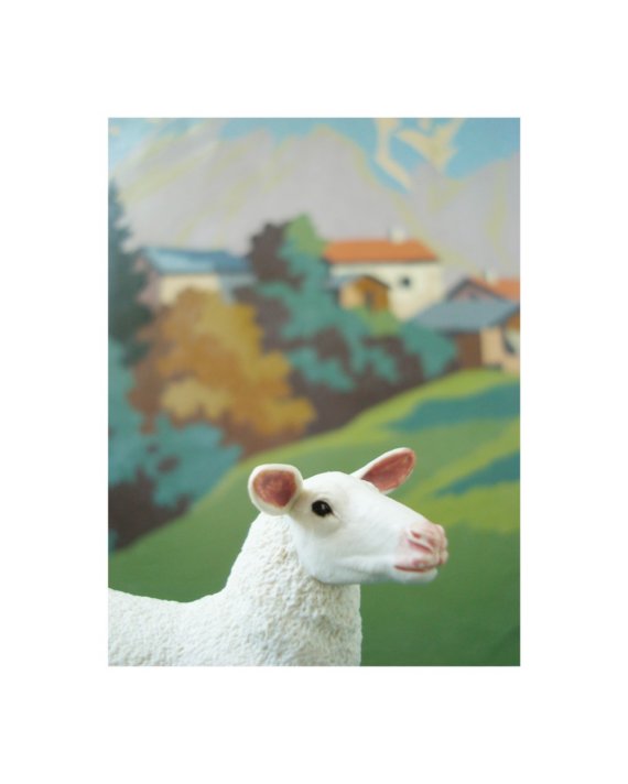 Ewe With Paint By Number Background Print Doecdoe On