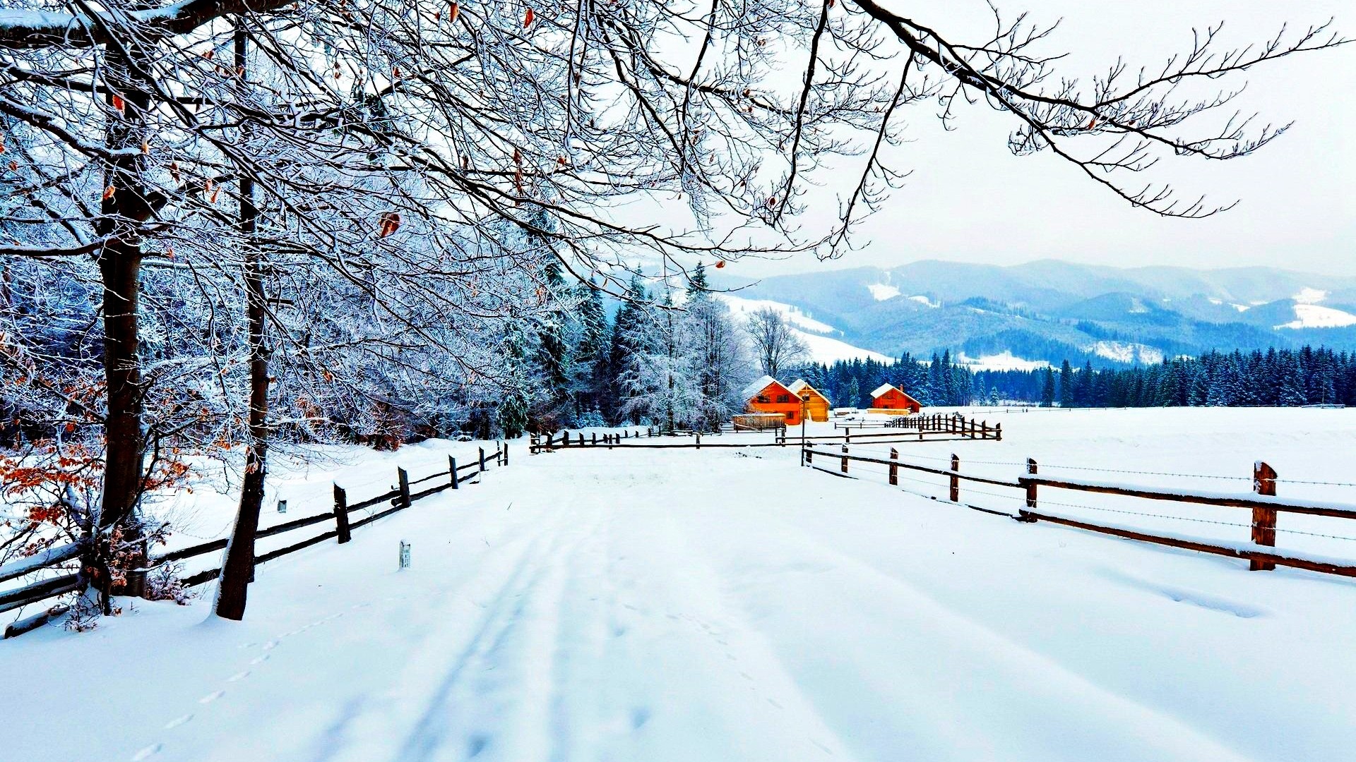 Snow Covered Countryside Road Widescreen And Full HD Wallpaper