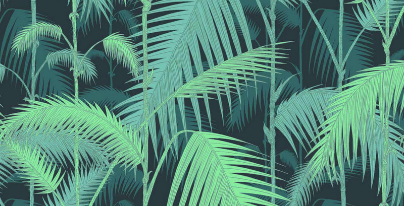 Cole Son Jungle Palm