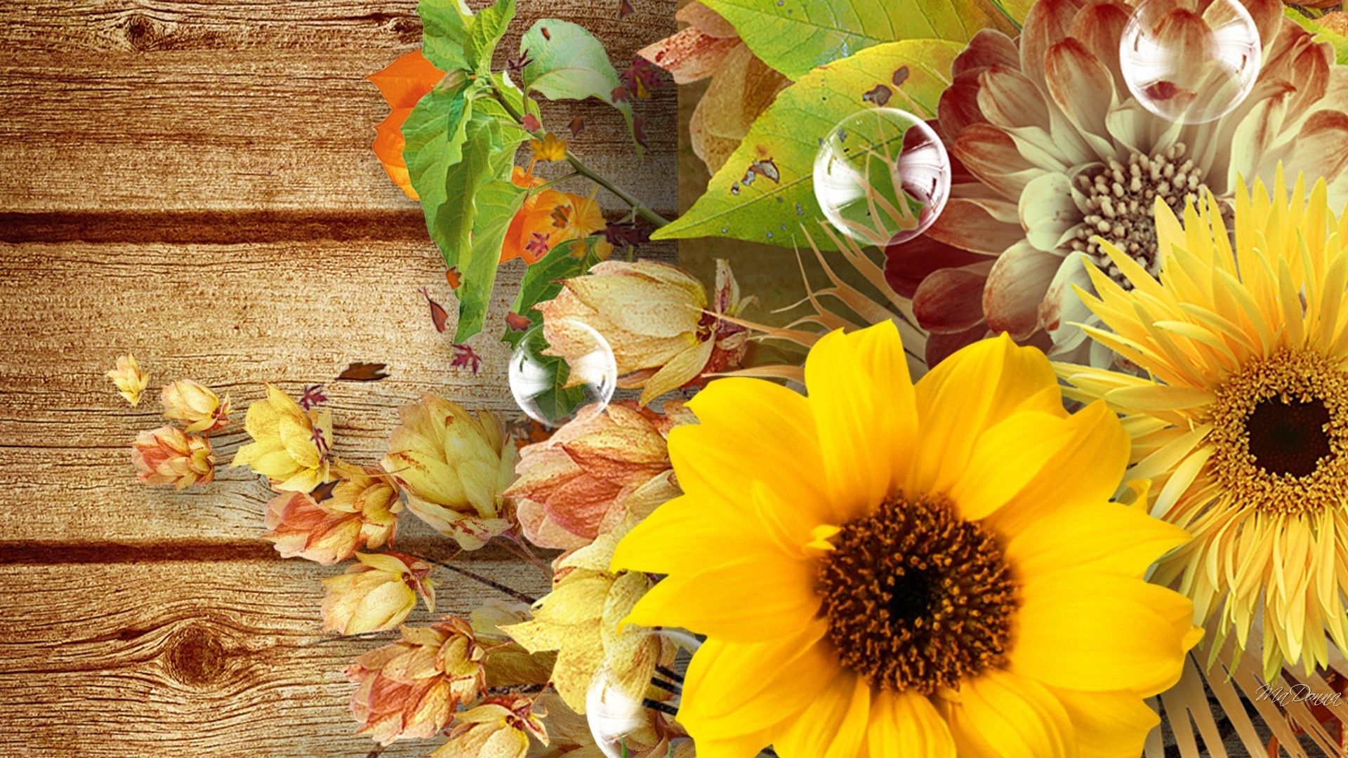 Fall Flowers Desktop Wallpaper Top