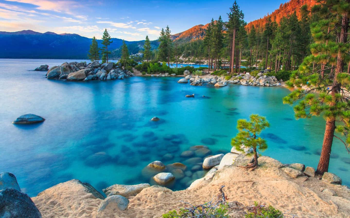 Enjoying A Day At The Beach During California Summer Wallpaper
