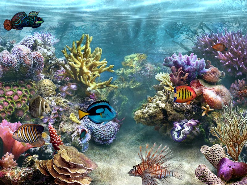 free 3d marine aquarium screensaver