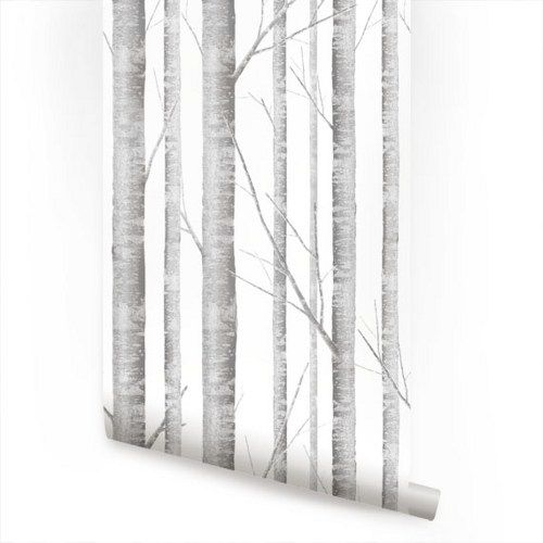 Birch Tree Peel and Stick Fabric Wallpaper Repositionable 500x500