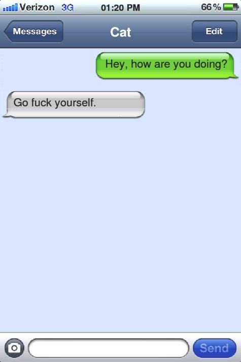 iPhone Spoof Of The Dog Texts Messages Cat F Go Yourself