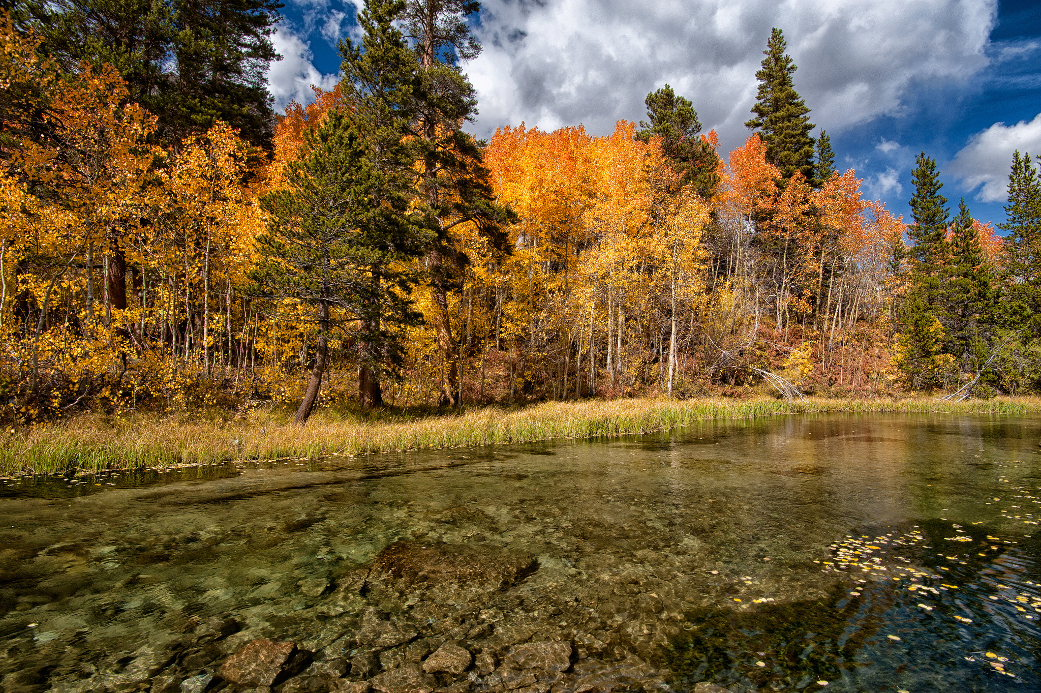 Lake Fall Forest Trees Autumn Wallpaper