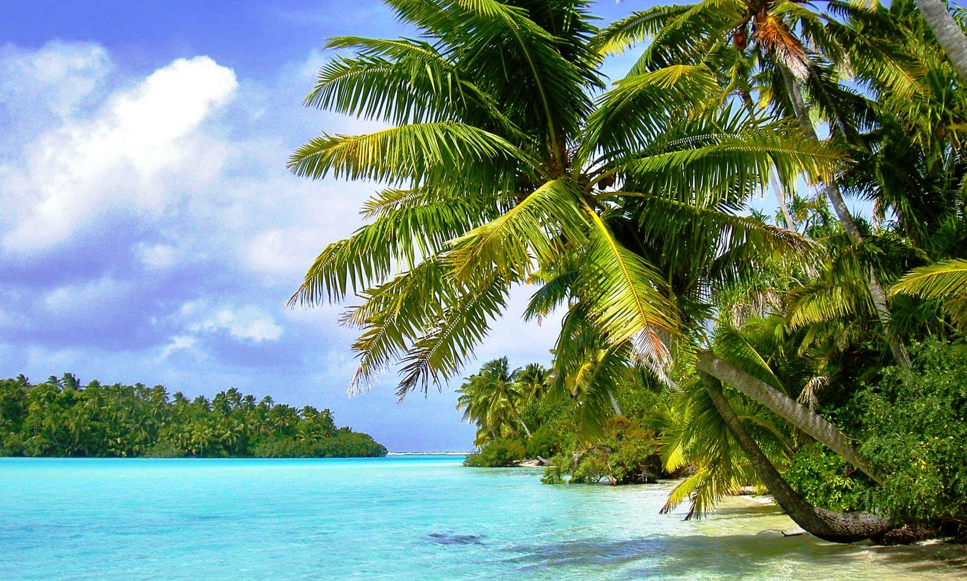 Tropical Island HD Wallpaper