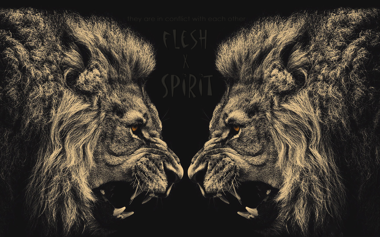 Flesh X Spirit Christian Wallpaper