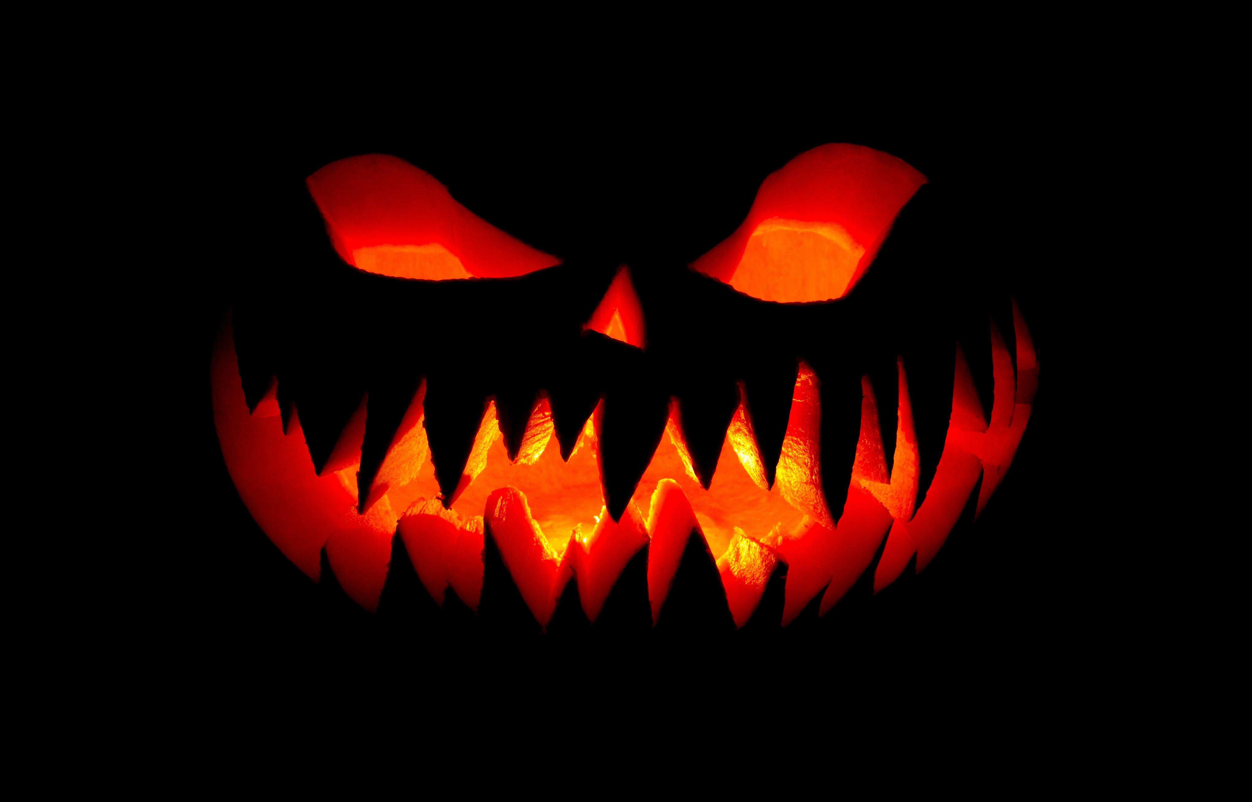 280 Jack O Lantern HD Wallpapers and Backgrounds