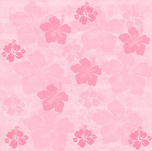 pink peach colored Hibiscus Tropical Flowers on a grunge background