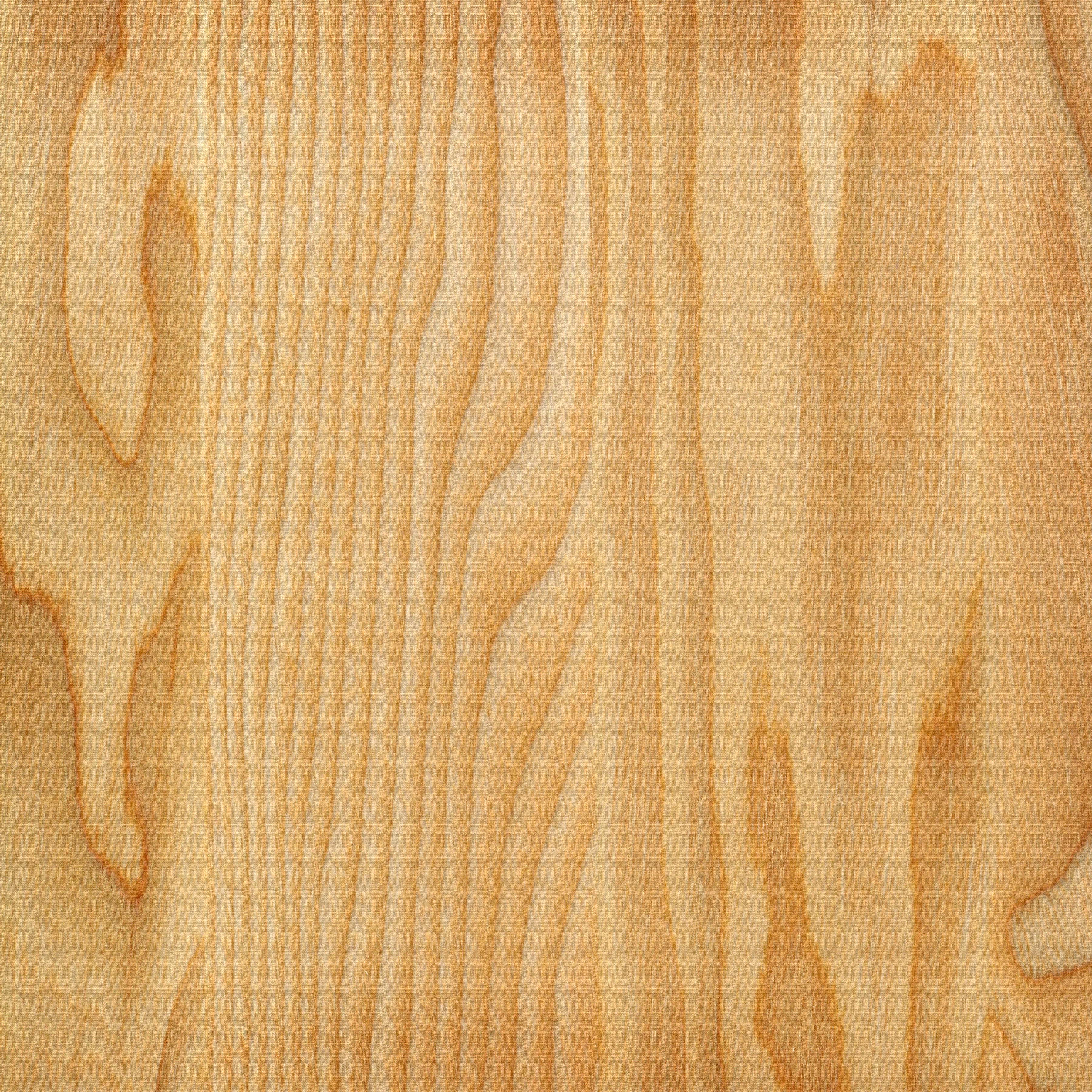 Texture Wood Background Tree Photo