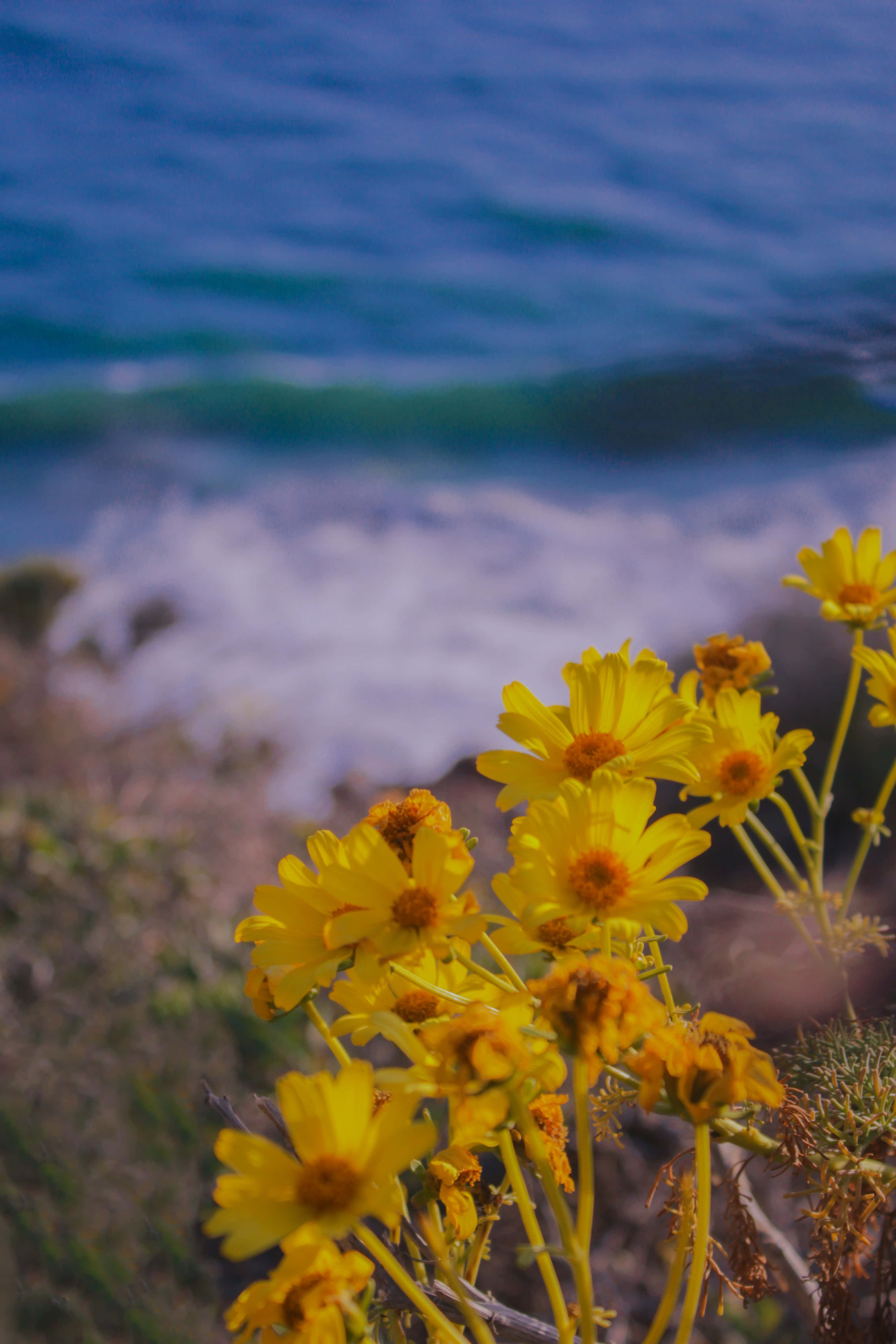 iPhone X Malibu Background Wallpaper
