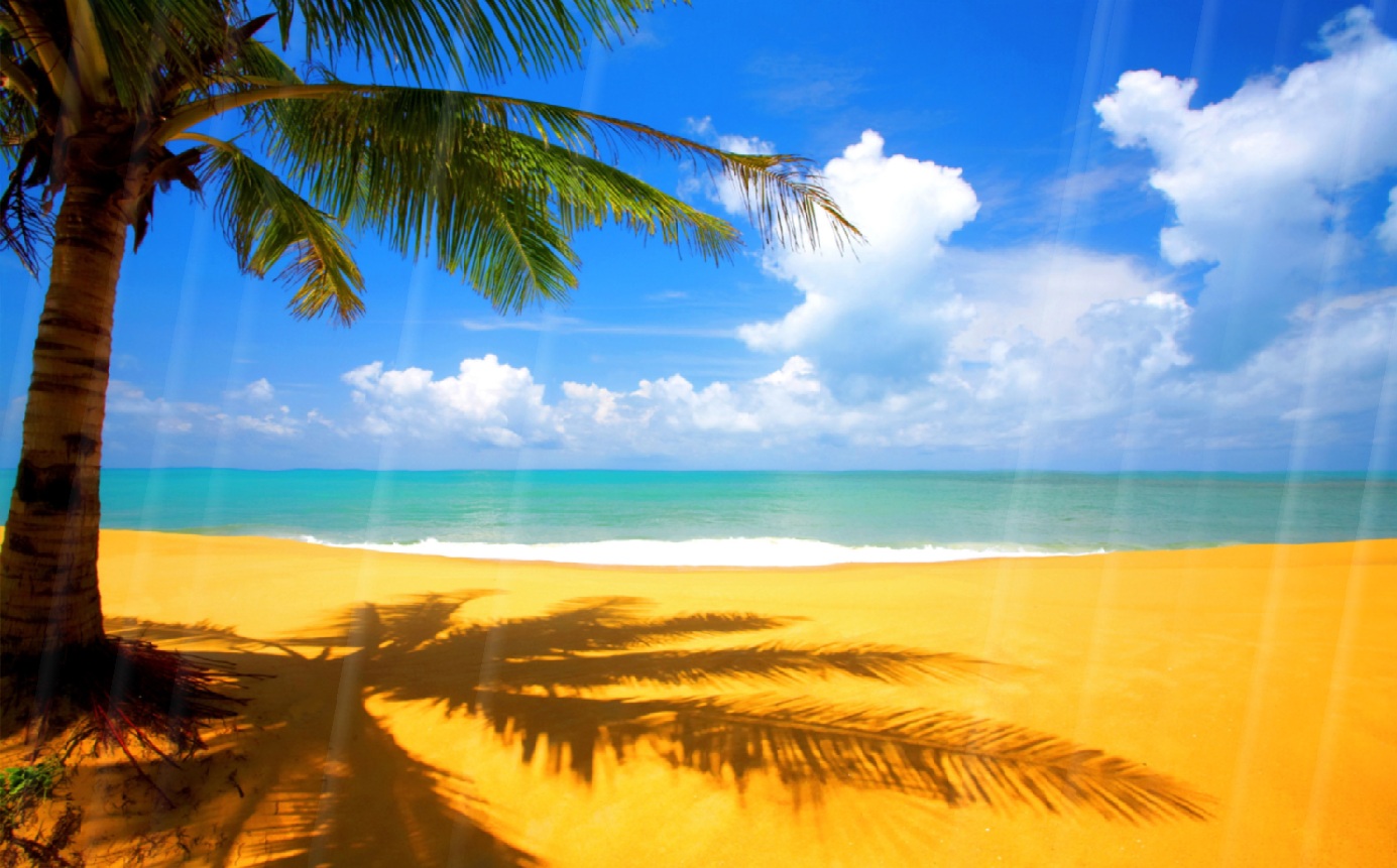 Summer Beach Screensaver Torrent Download