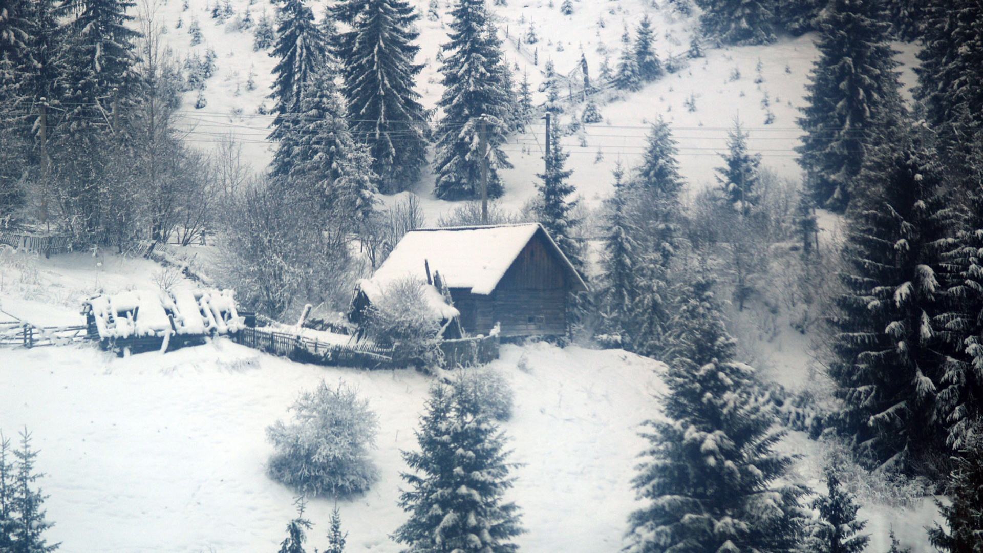Winter Landscape Wallpaper Full HD