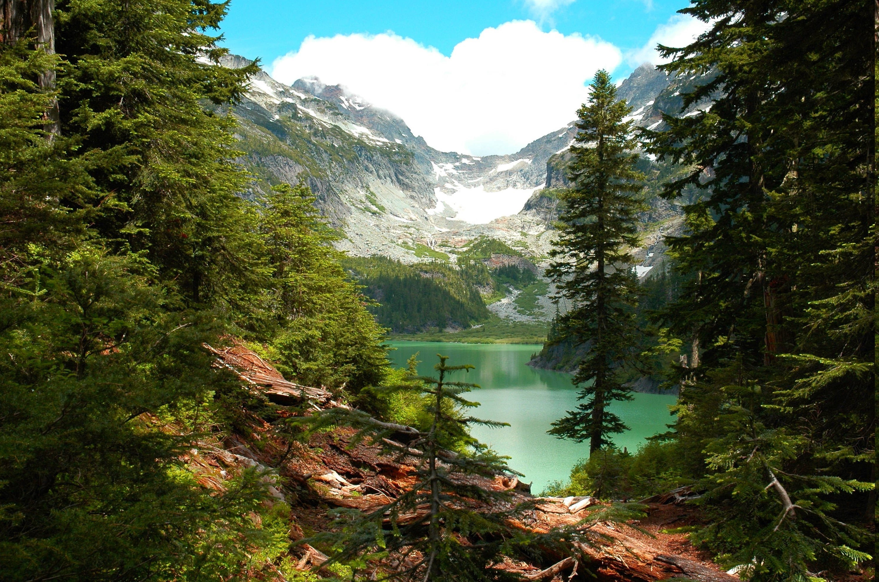 Lake Forest Mountain Washington State Trees Cliff Water Clouds Wallpaper