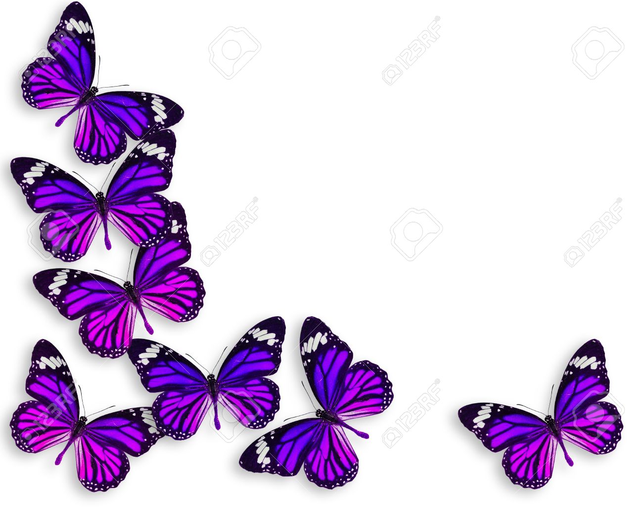 Background With Violet Butterfly Stock Photo Picture And Royalty