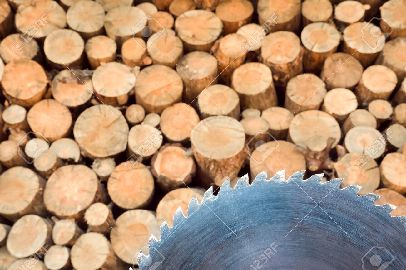 Pile Of Firewood Sawmill Blade With Wall Background