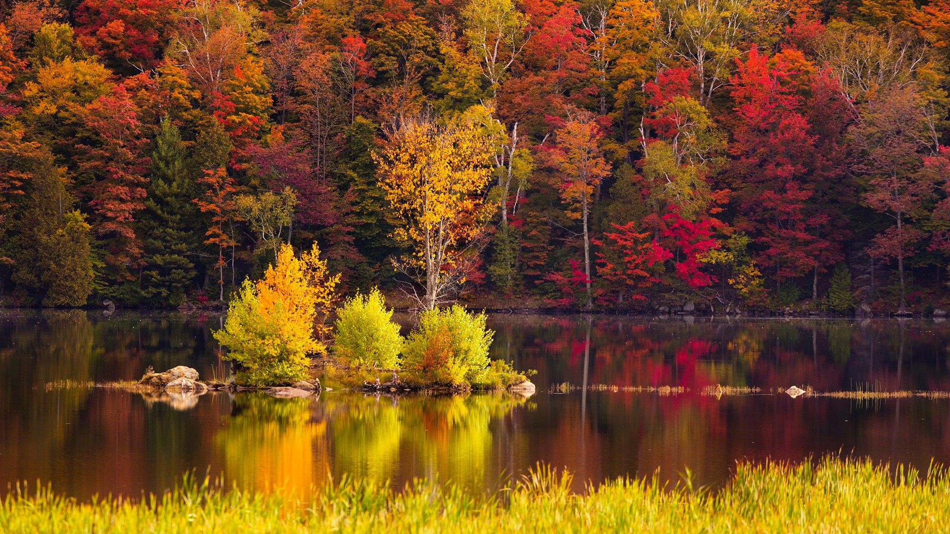 Peak New England Foliage Around Kent Pond In Killington Rutland